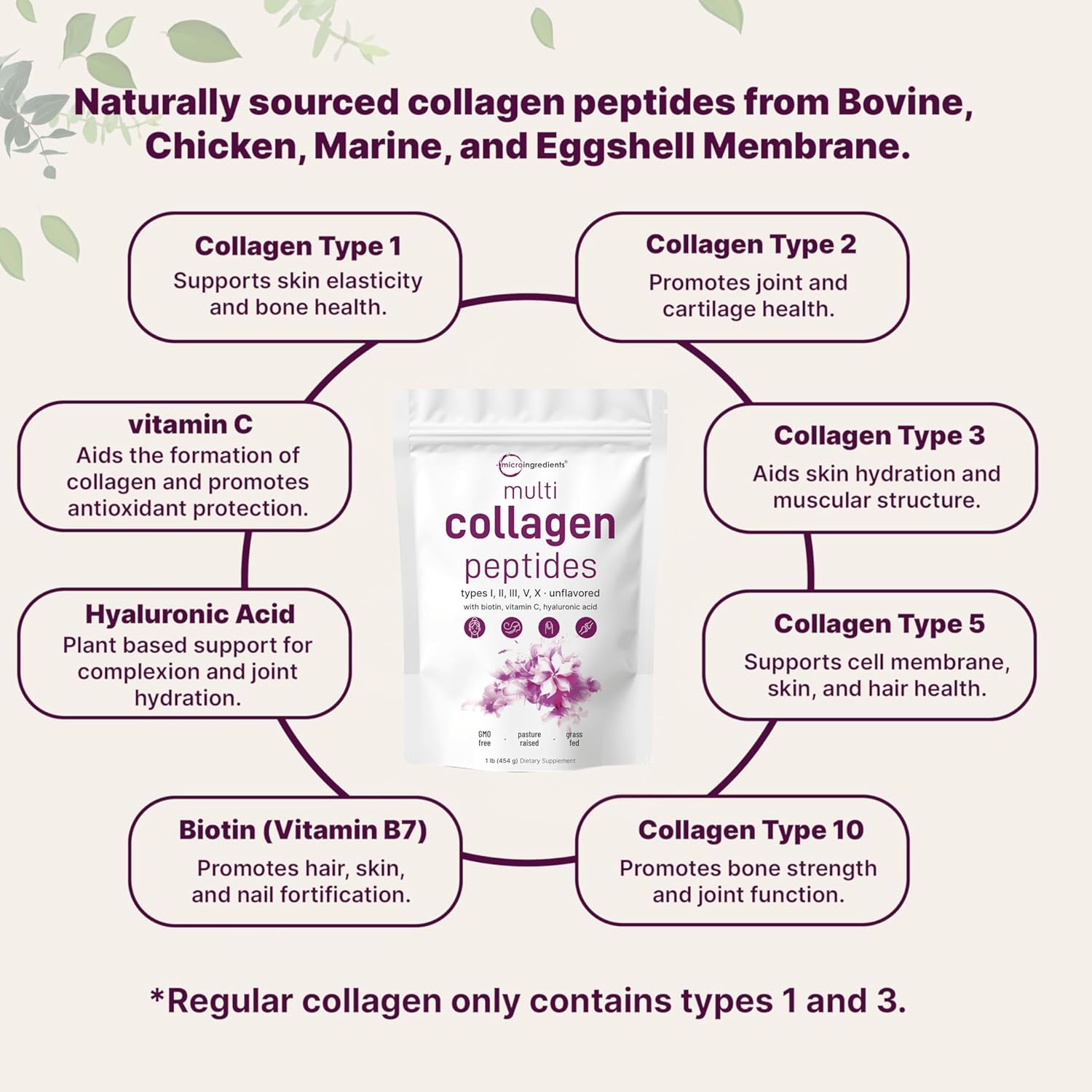 Ingredients Multi Collagen Peptides Powder - Hydrolyzed Protein Peptides (Type I,II,III,V,X) with Hyaluronic Acid, Biotin & Vitamin C Unflavored