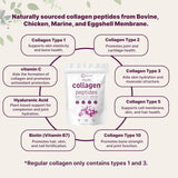 Ingredients Multi Collagen Peptides Powder - Hydrolyzed Protein Peptides (Type I,II,III,V,X) with Hyaluronic Acid, Biotin & Vitamin C Unflavored