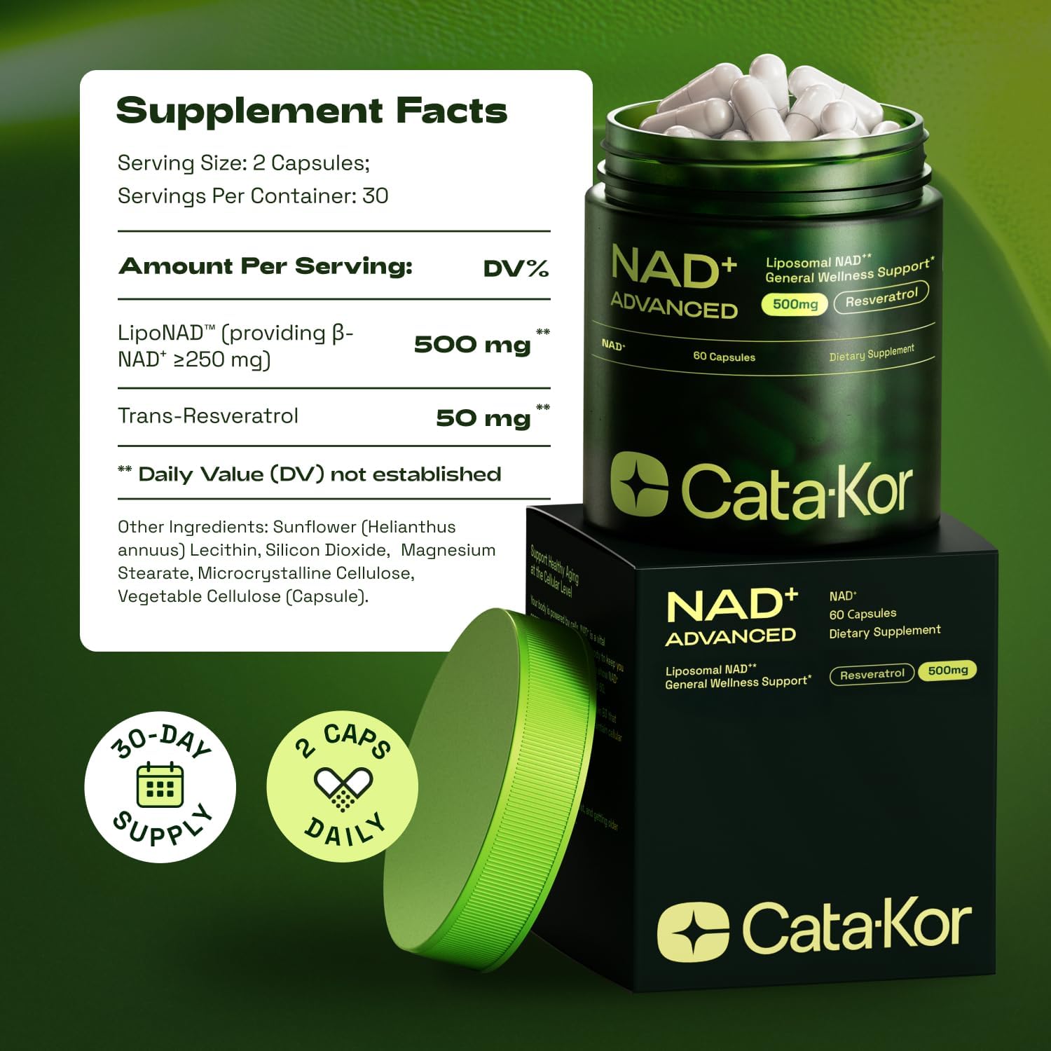Liposomal NAD+ Resveratrol | 30-Day Supply – Third-Party Tested – 60 Capsules – Advanced NAD+ Supplement